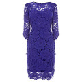 Coast purple lace dress image