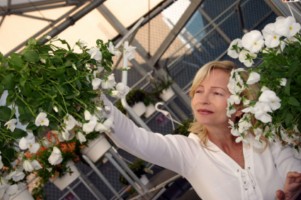 paid work or volunteering in your 50s image