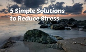 stress after the storm text