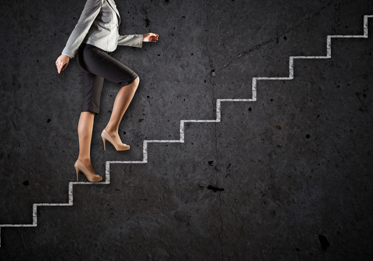 50plus career ladder